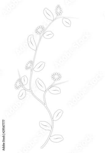 blumenranken-weiss