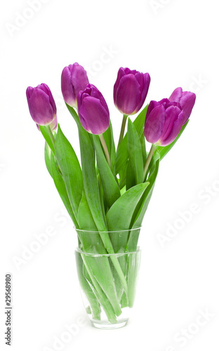 Fototapeta Naklejka Na Ścianę i Meble -  purples tulips in a glass