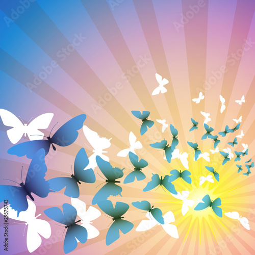A Butterfly Background with Sunbeams