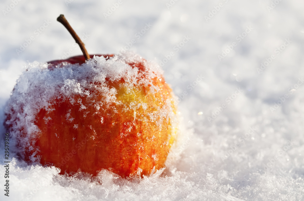 Naklejka premium apple in to snow