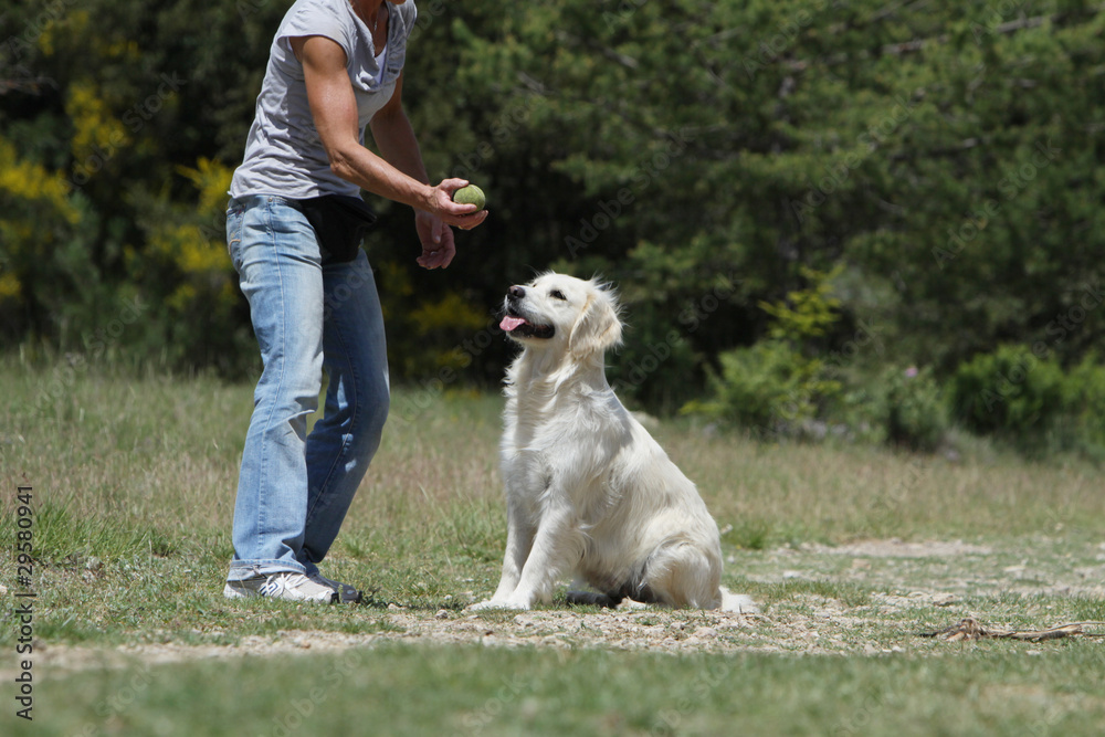 complicité entre une femme et son chien complicité entre une femme et son chien