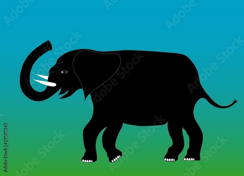 Elephant