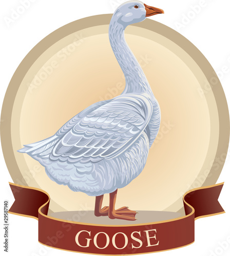 Graphical goose