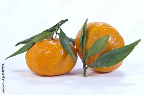 mandarini