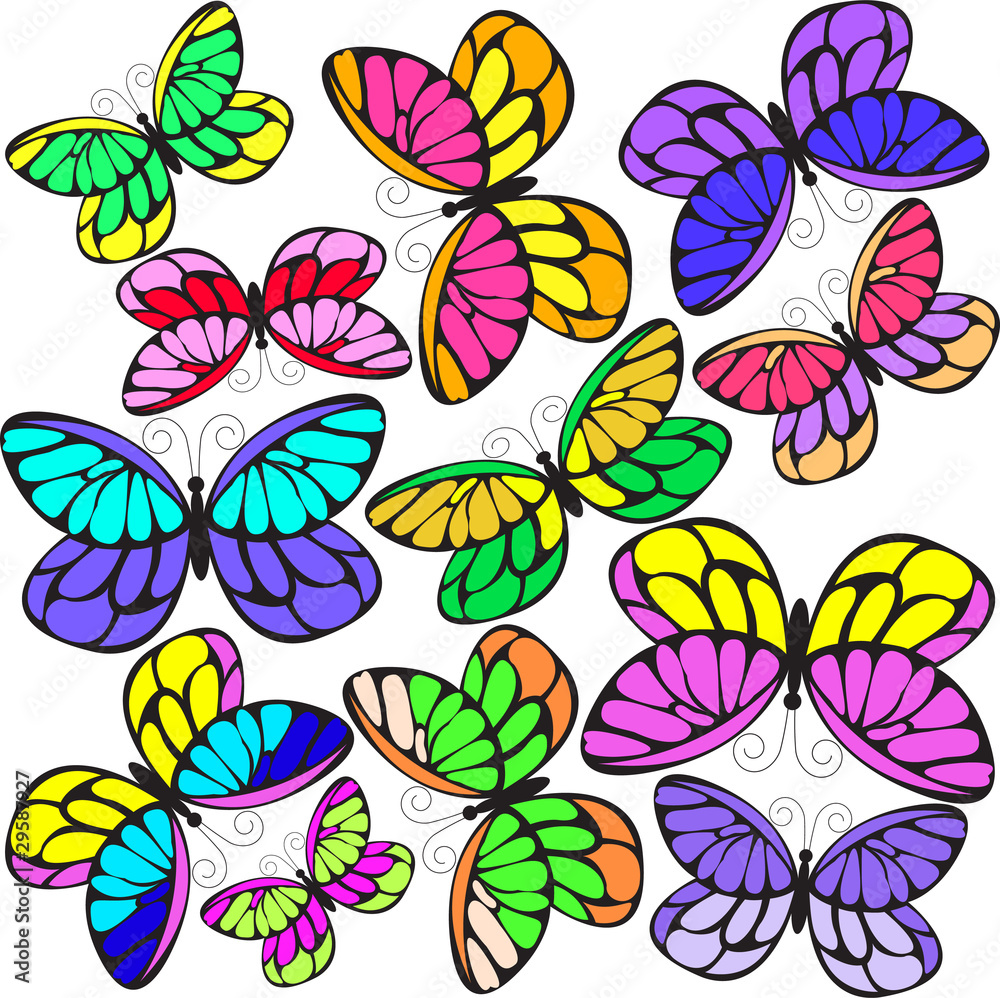 Fototapeta premium Butterflies