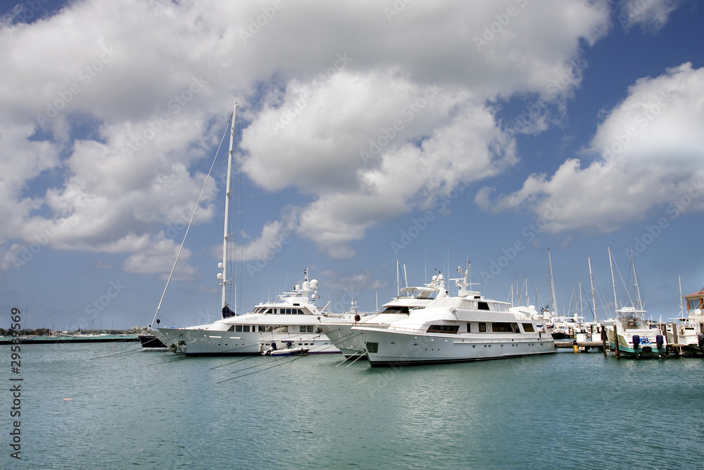 White Luxury Yachts in a Blue Harbor
