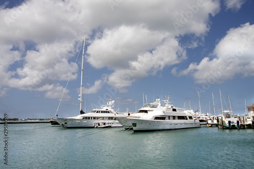 White Luxury Yachts in a Blue Harbor © dbvirago