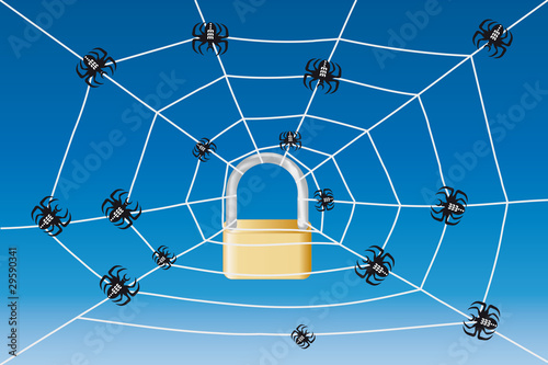Netzsperre mit Spinnen 3