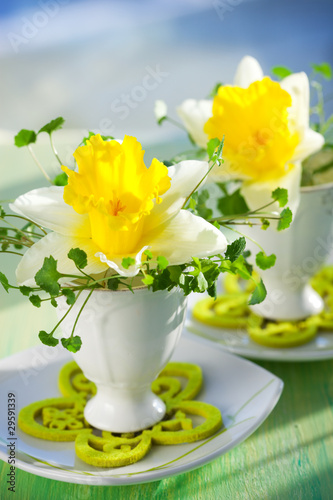 Fototapeta Naklejka Na Ścianę i Meble -  narcissi in eggcups