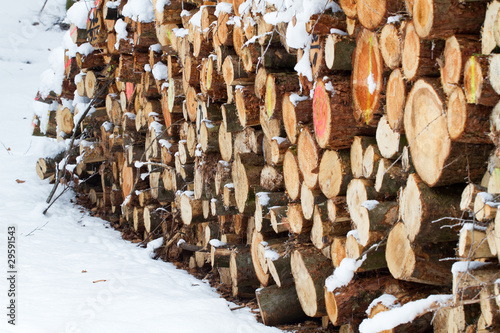 Brennholz, Feuerholz, Kaminholz, schneebedeckt