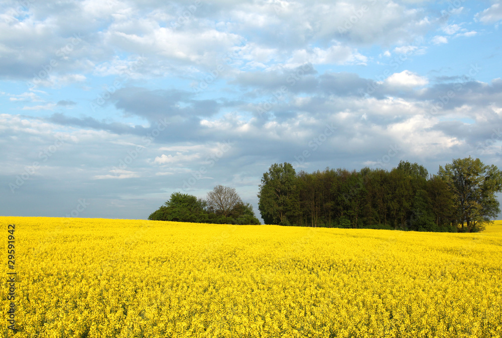 Colorful spring landscape Colorful spring landscape