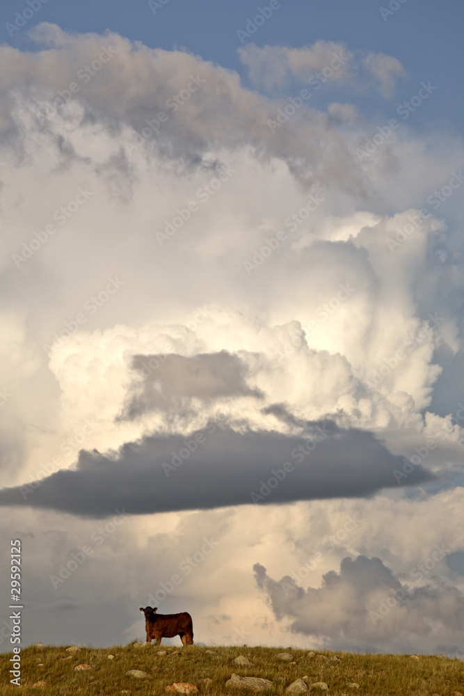 Fototapeta premium Storm clouds over Saskatchewan