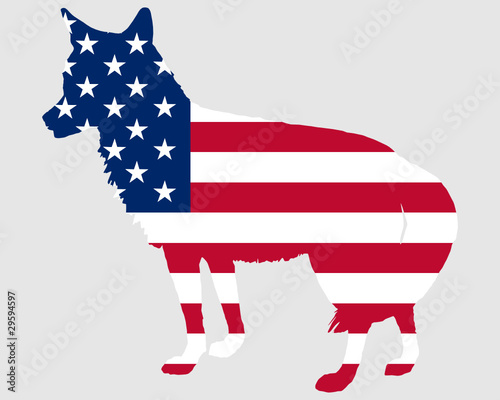 Kojote USA