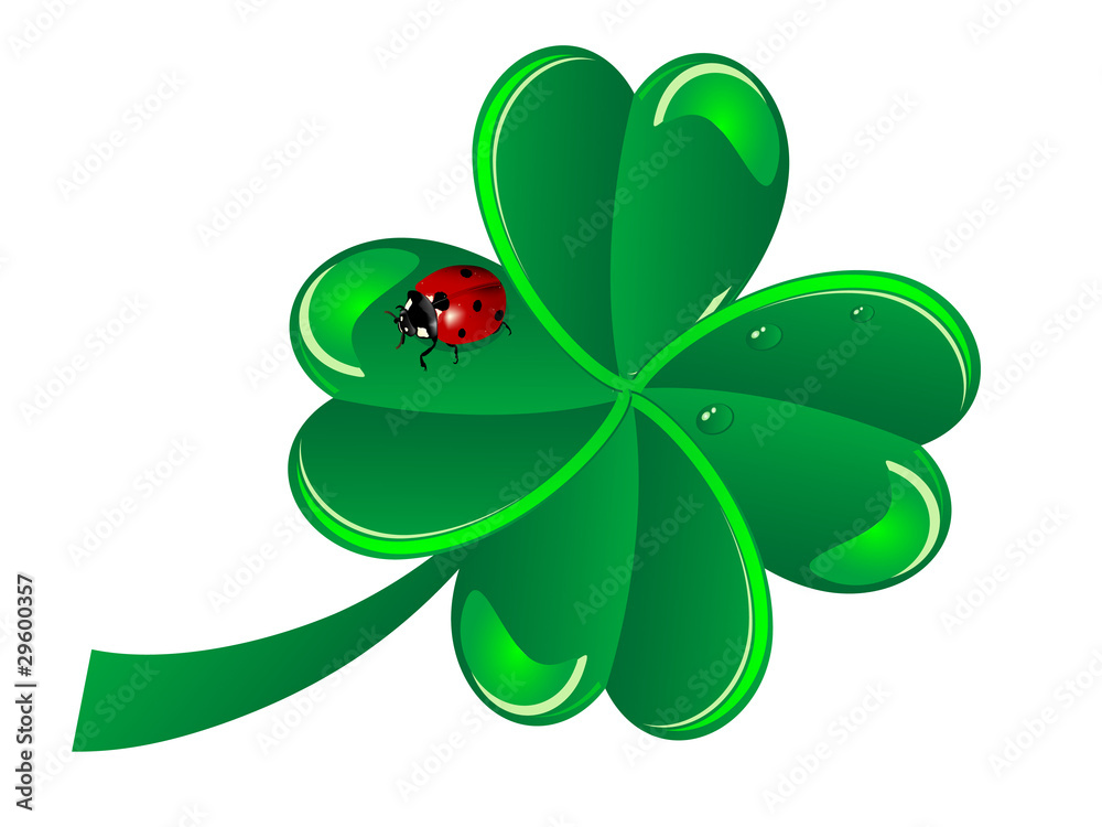 Four leaf clover Four leaf clover