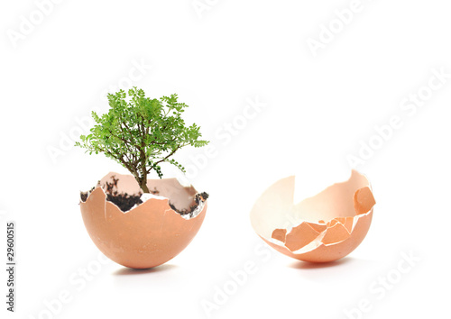 Growth concept