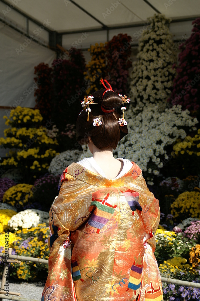 女性 日本女性 着物 花嫁衣装 鬘 日本髪 後ろ姿  写真