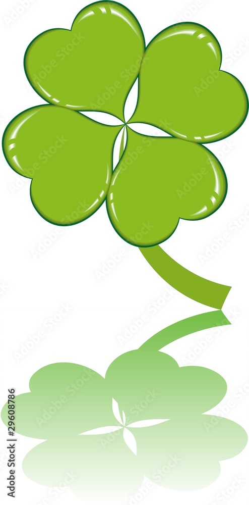 Fototapeta premium clover or shamrock for St Patrick’s day
