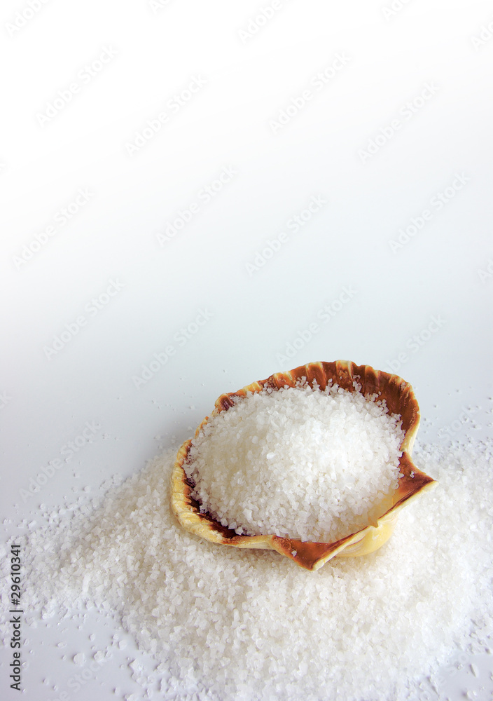 Salt on Shell Salt on Shell
