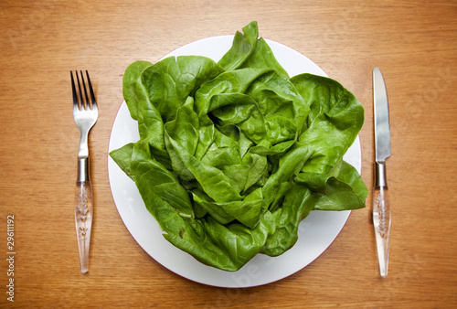 Fresh green lettuce on plate