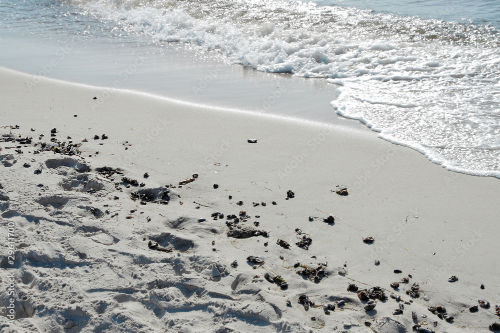 Ostsee Weststrand Ostsee Weststrand