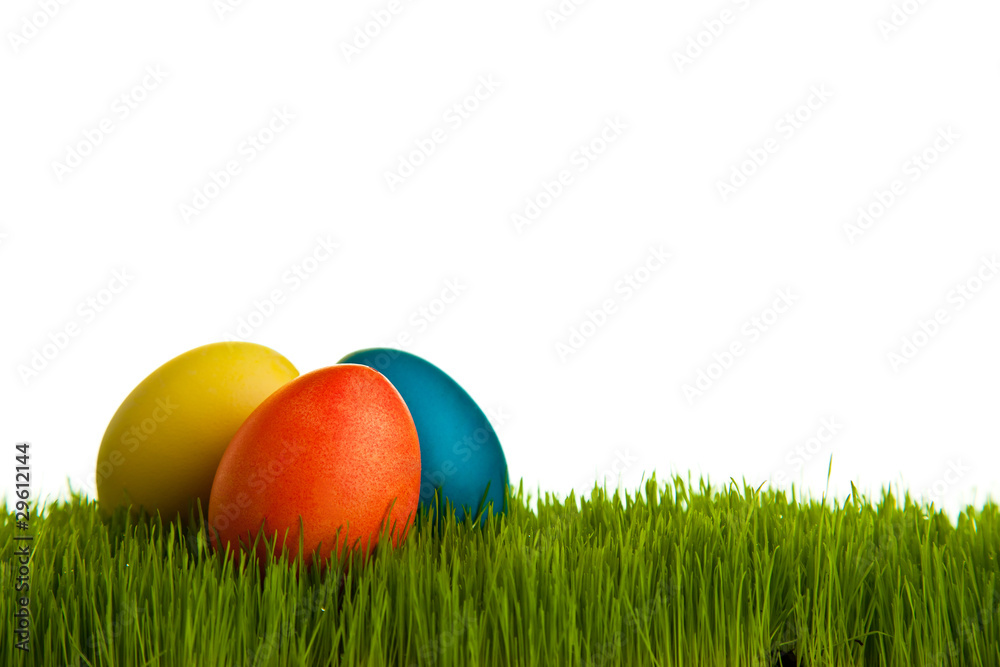 Easter eggs on green grass on white isolated backgr