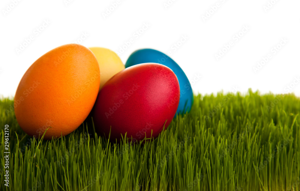 Easter eggs on green grass on white isolated backgr