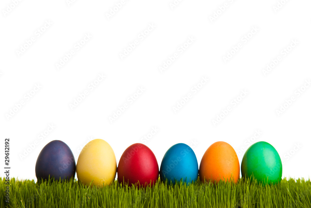 Easter eggs on green grass on white isolated backgr Easter eggs on green grass on white isolated backgr