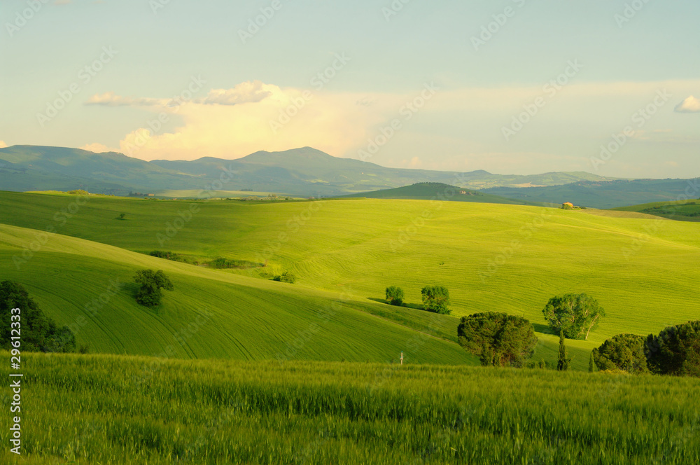 Toskana Huegel  - Tuscany hills 48