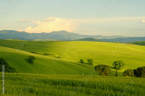 Toskana Huegel - Tuscany hills 48