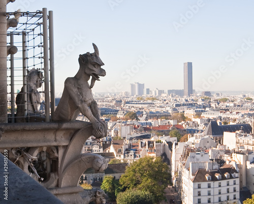 View of Paris from Notre Dame de Paris. France.