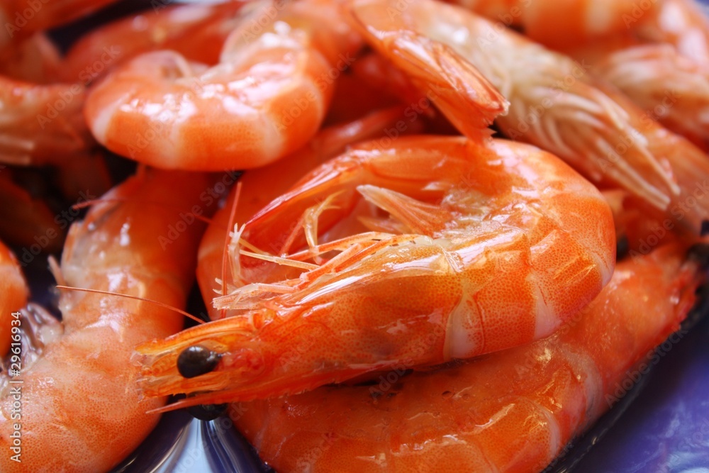 Delicious Boiled Shrimps closeup Delicious Boiled Shrimps closeup