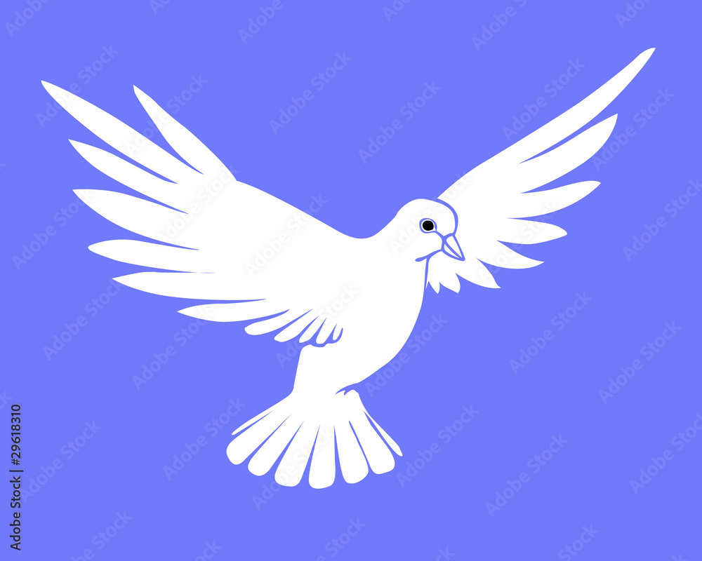Obraz premium silhouette dove on blue background