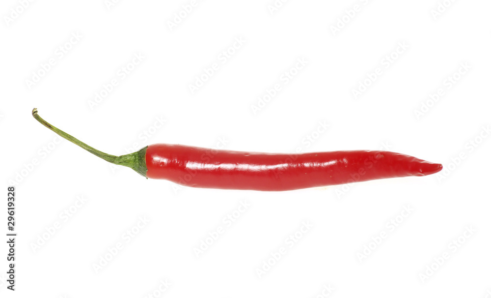 chili pepper chili pepper