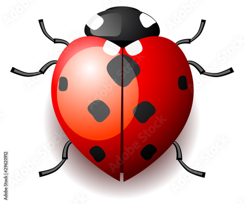 Heart form ladybird