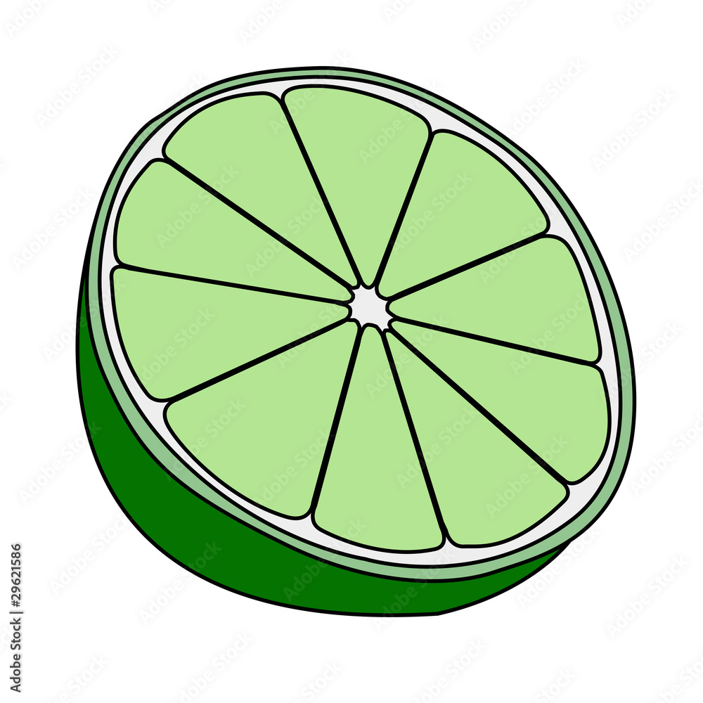 Illustration Limette isoliert