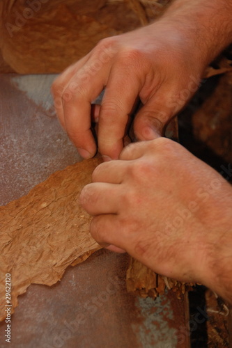 Cigar making