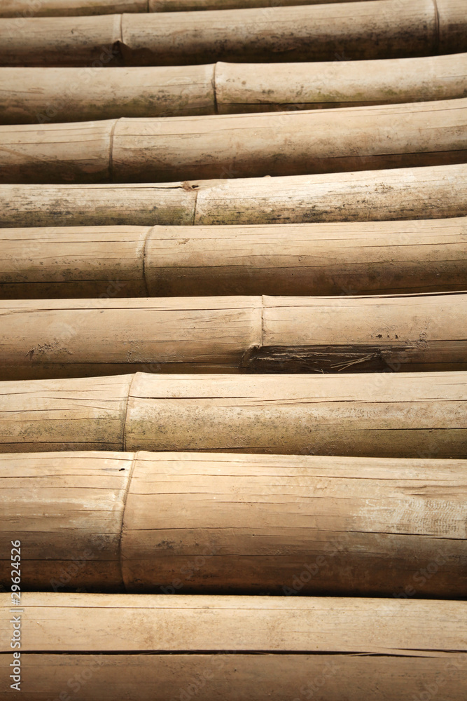 ิbamboo wood, Many of bamboo logs texture. ิbamboo wood, Many of bamboo logs texture.