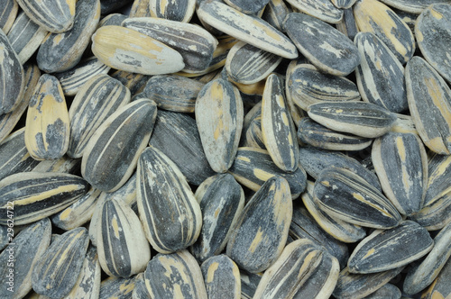 Sunflower seeds