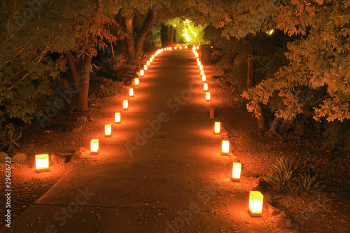 luminarias light a forest path at night