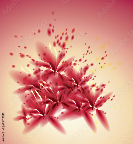 Colorful flower background