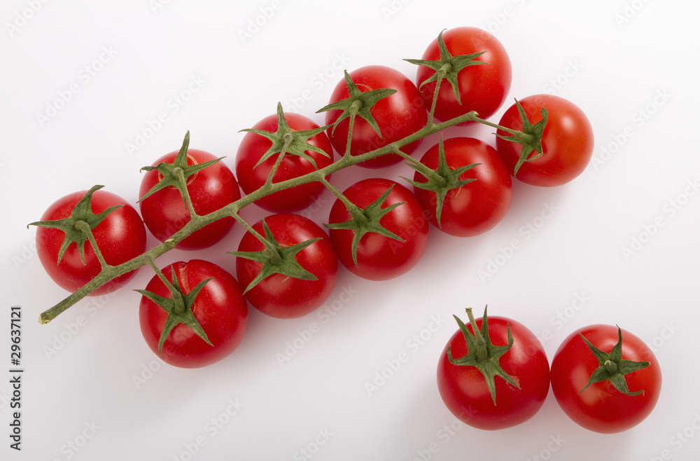 ripe cherry tomatoes on a branch ripe cherry tomatoes on a branch