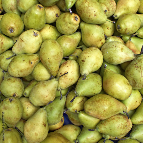 fresh pears  natural background