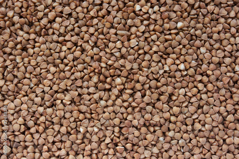 buckwheat buckwheat
