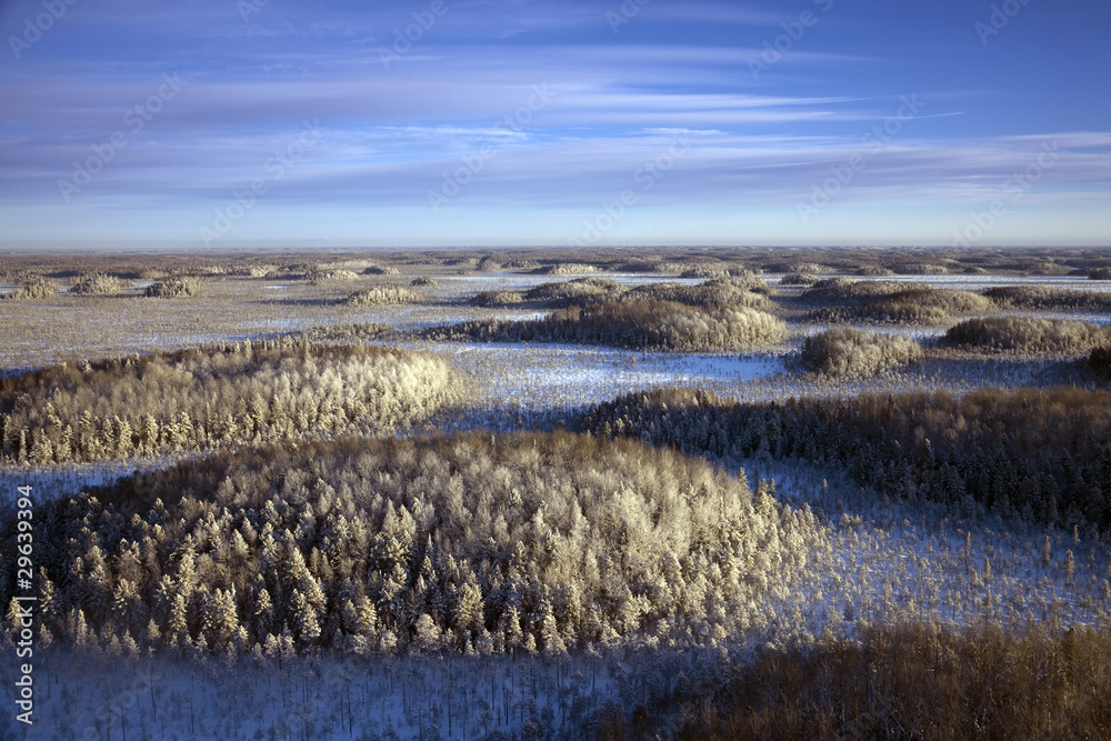 snow-covered a groves