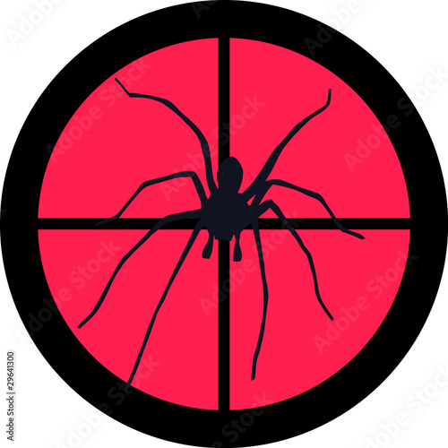 In the Scope Series – Spider