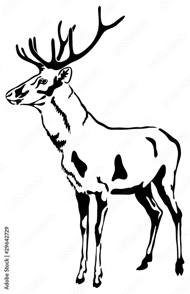 Obraz premium Deer with large antlers. Vector Sketch.