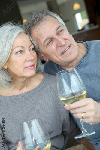 Portrait of happy senior couple cheering with wine