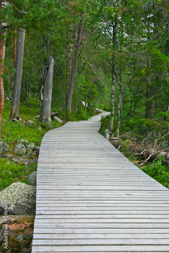 Wooden Path to the end