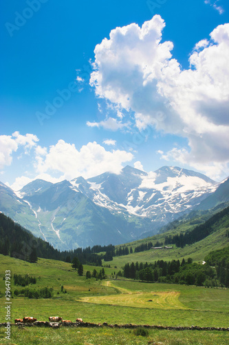Romantische Naturlandschaft in Österreich
