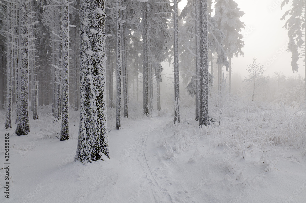 Schneeweg aus dem Nebelwand